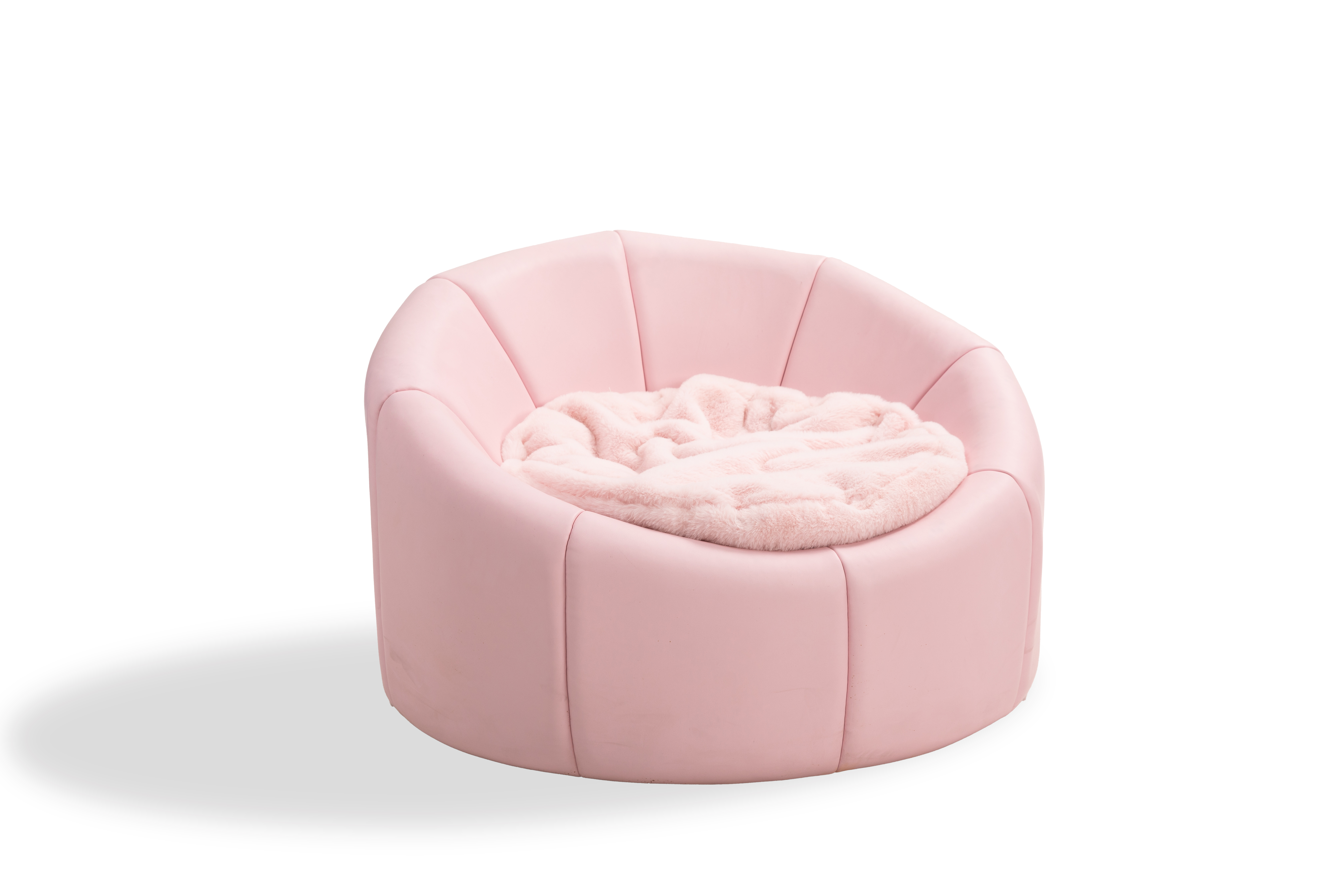 Princess Nest Kennel