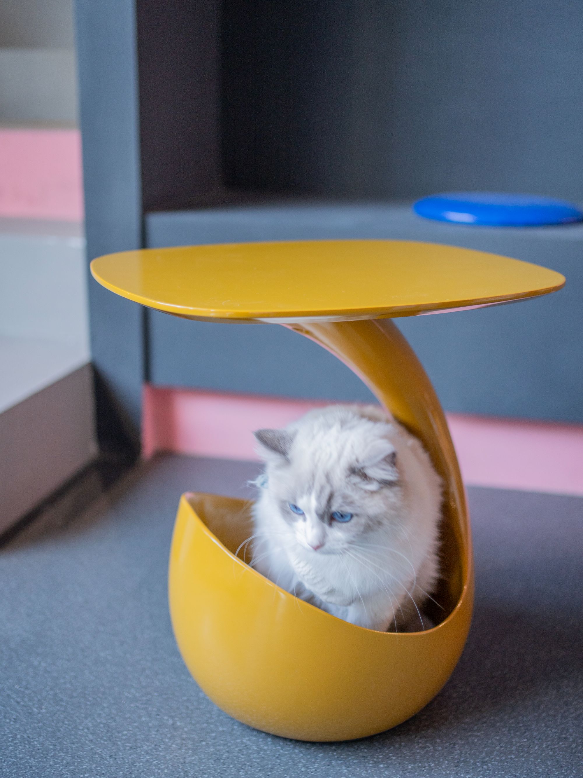 Spoonful Coffee Table