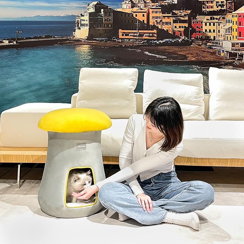 Poisonous Mushroom Stool