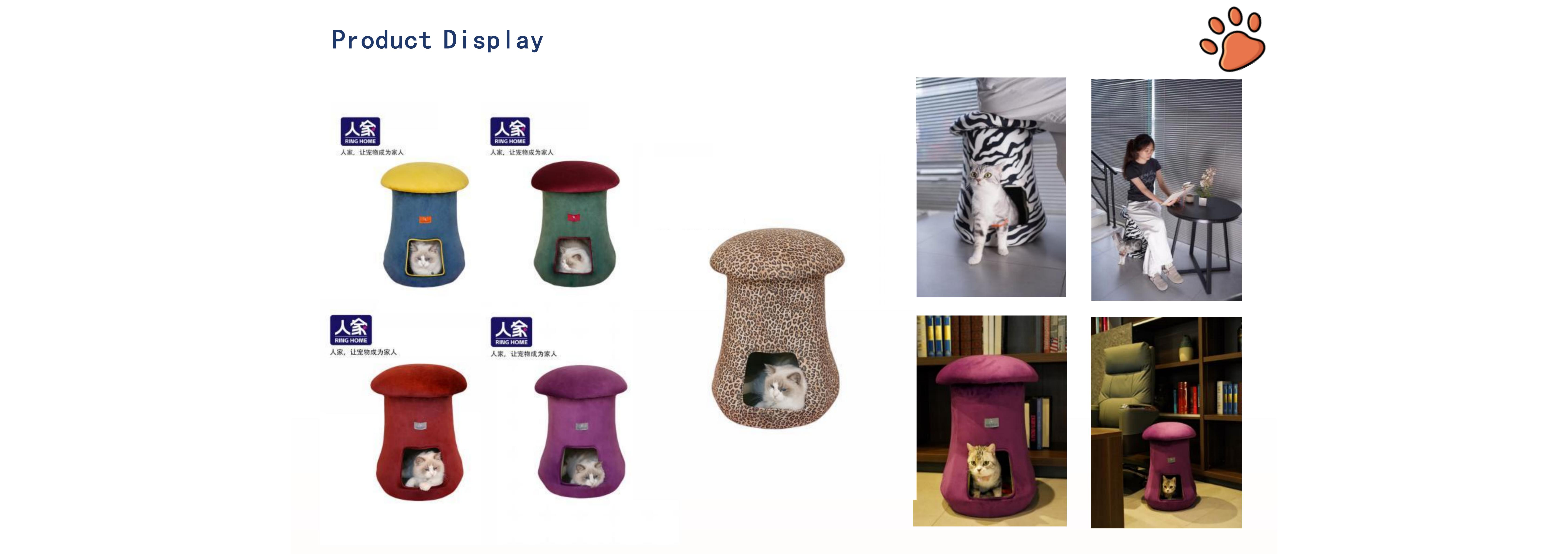 Poisonous Mushroom Stool